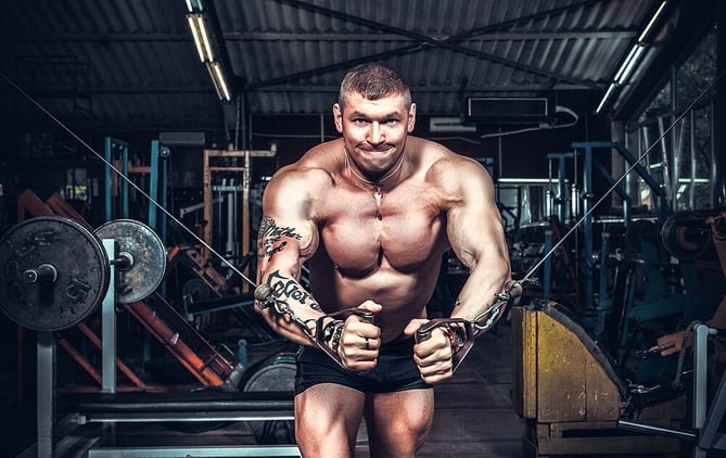 types of bodybuilding splits